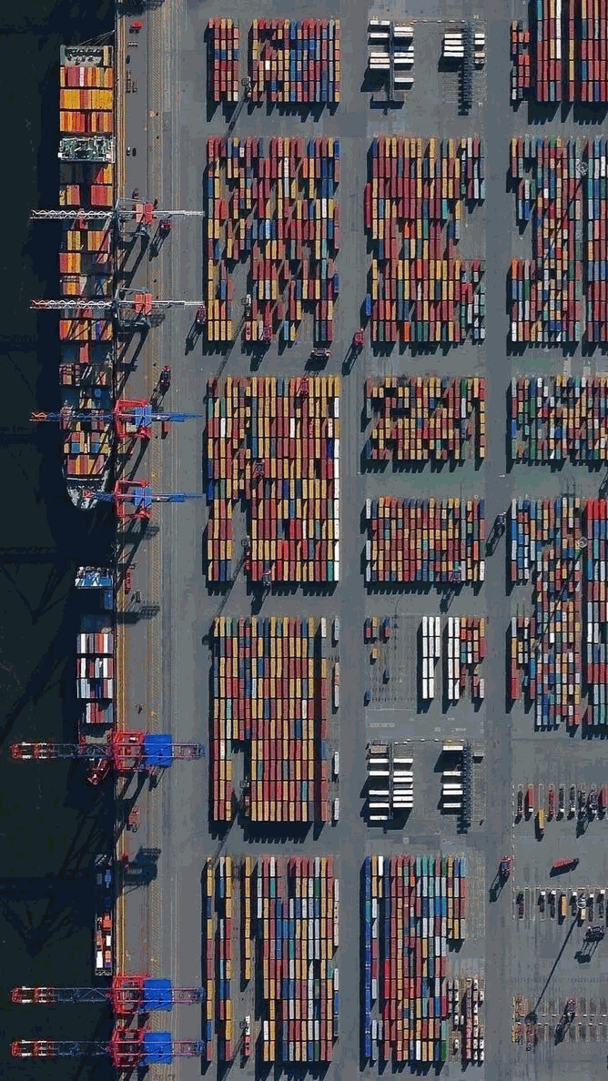 Odoo • Text and Image